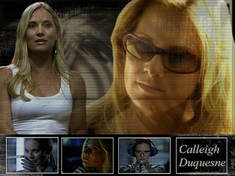 Calleigh-csi-miami-1323518-1024-768