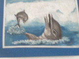 delfinek