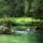 Bohinji__to_761350_41719_t