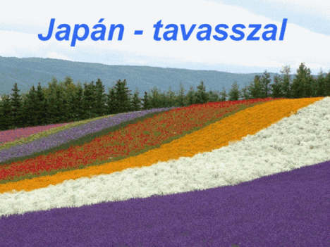 Japán tavasszal