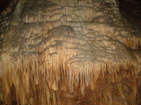 Aggteleki csepkőbarlang. 11