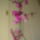Orchideak_3-002_767792_40059_t