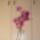 Orchideak_4-001_767793_26553_t