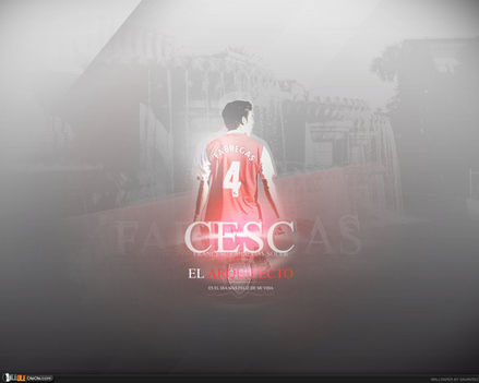 fabregas-arsenal-wal_36923