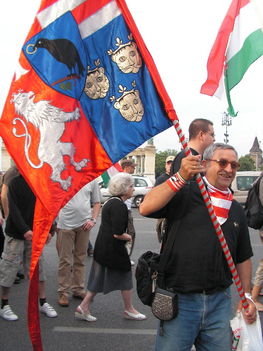583_2008-06-06_HVIM-Jobbik trianoni felvonulás