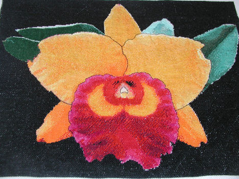 sarga-piros orhidea