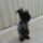 Beno_772966_93054_t