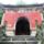 Wudang_shan_114_772881_35052_t