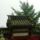 Wudang_shan_121_772882_77809_t