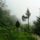 Wudang_shan_122_772883_97841_t
