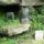 Wudang_shan_145_772885_57631_t