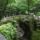 Wudang_shan_170_772889_29941_t