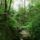 Wudang_shan_176_772891_34812_t
