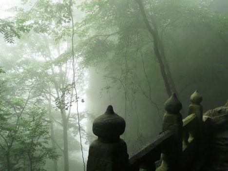 Wudang Shan (189)