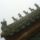 Wudang_shan_214_772904_68287_t