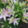 201006-007_773078_10605_t