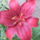 201006-009_773082_28313_t