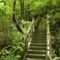 carefree valley stairs to abandoned temple