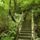 Carefree_valley_stairs_to_abandoned_temple_774248_14016_t