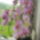 Csikosom_774751_11220_t