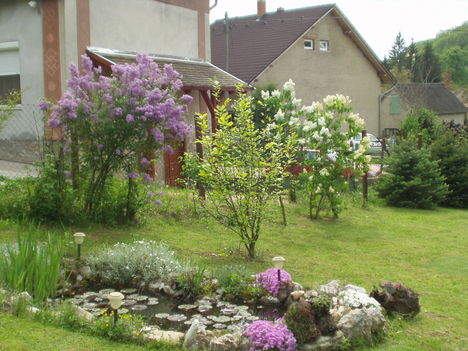 udvar
