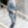 David_4_776936_61209_t