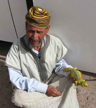 egy különös állat Marokkóban