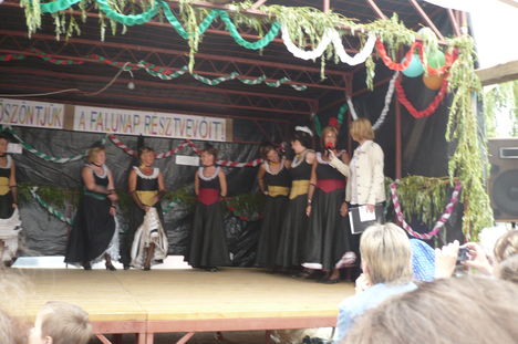 Falunap 2010. 31