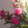 Nyilik_a_leander_776184_53041_t