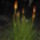 Kepek_043_777658_74992_t