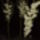 Kepek_044_777659_29308_t