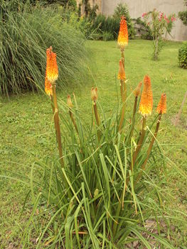 képek 045