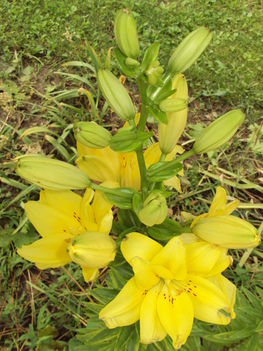 képek 048