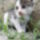 Sam_0361_777109_62232_t