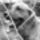 Sam_0365_777110_24135_t