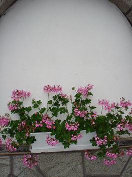 2010junius 037