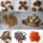 Chinese_herbs1_778170_15361_t
