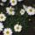 Dscf9086_778867_88243_t