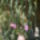 Sdc15050_778620_49075_t