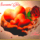 Szeretettel__778203_10453_t