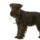 Dogschnauzer_1314213_779047_26447_t