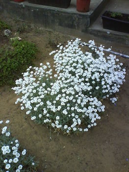 DSC00143