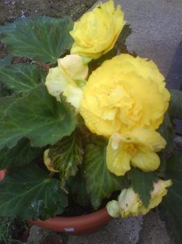 DSC00150