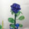 kék rózsám