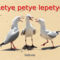 LETYE PETYE