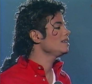 Mucho-Michael-33-michael-jackson-10846899-744-678