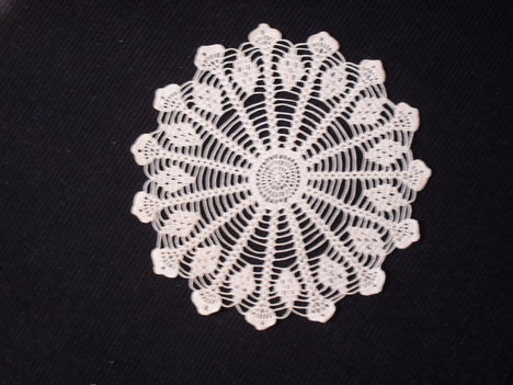 SDC12699