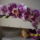 Kedvenc_phalam_787290_60916_t