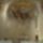 Sbalbina_787465_47109_t