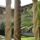 Sgiovanni_in_laterano__kerengo1_787648_42238_t